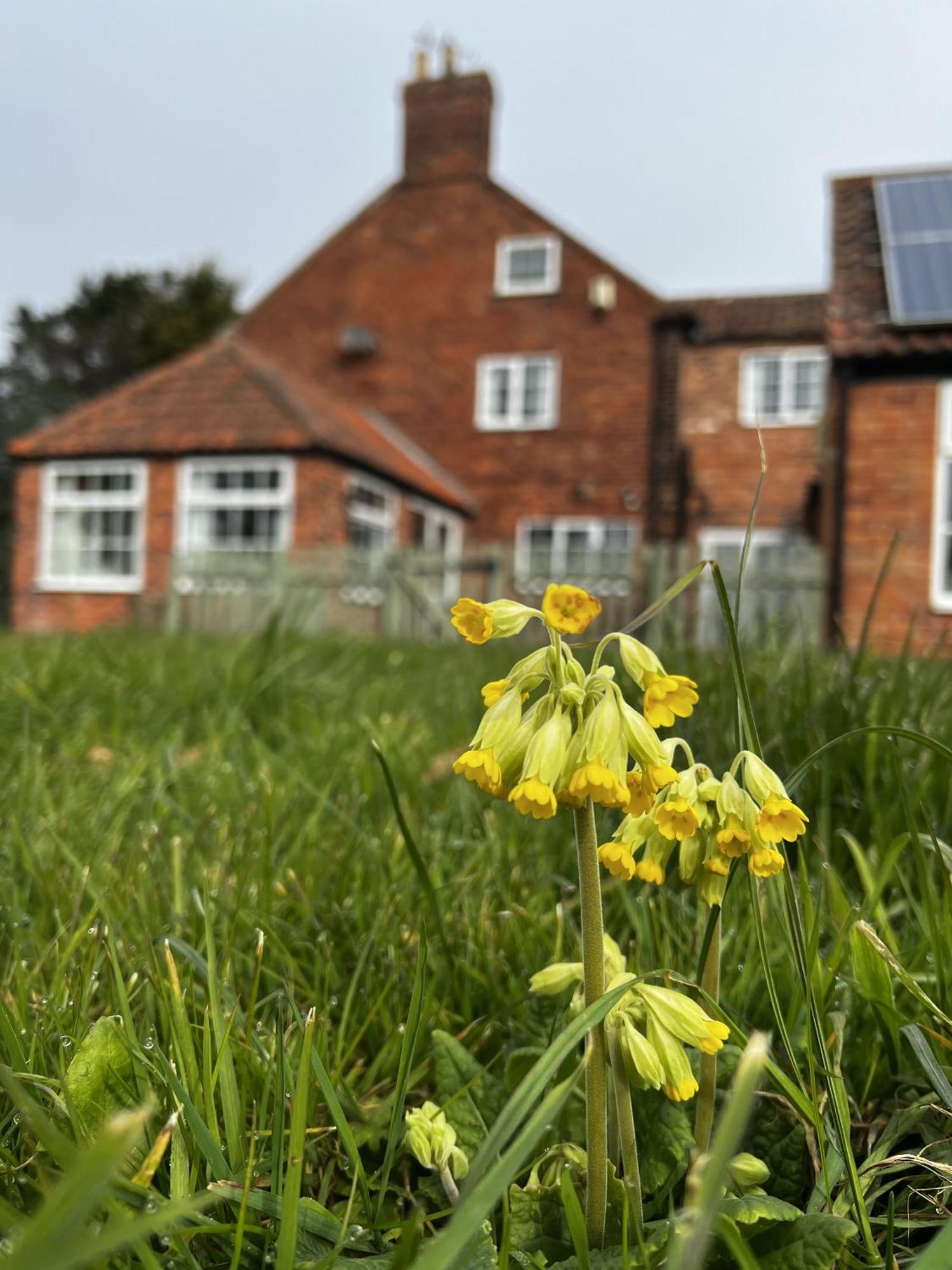 Wellbet Farm Swinderby Exterior foto